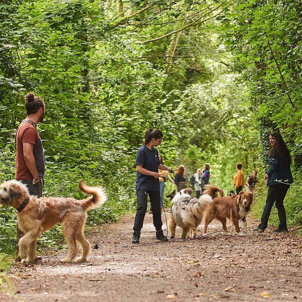 De Nature Canine Saint Germain en Laye Educateur Canin 3